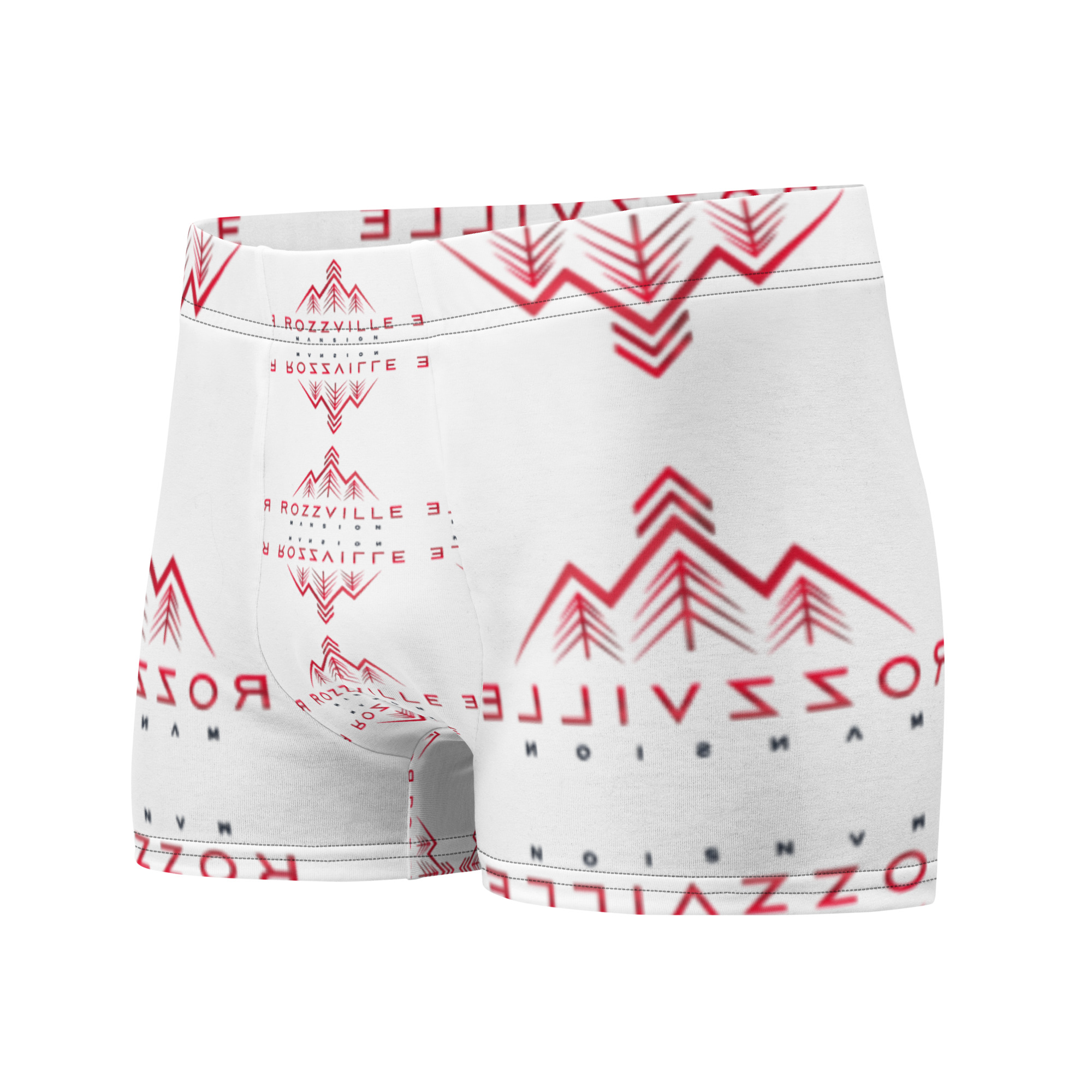 Boxer Briefs - Image 4