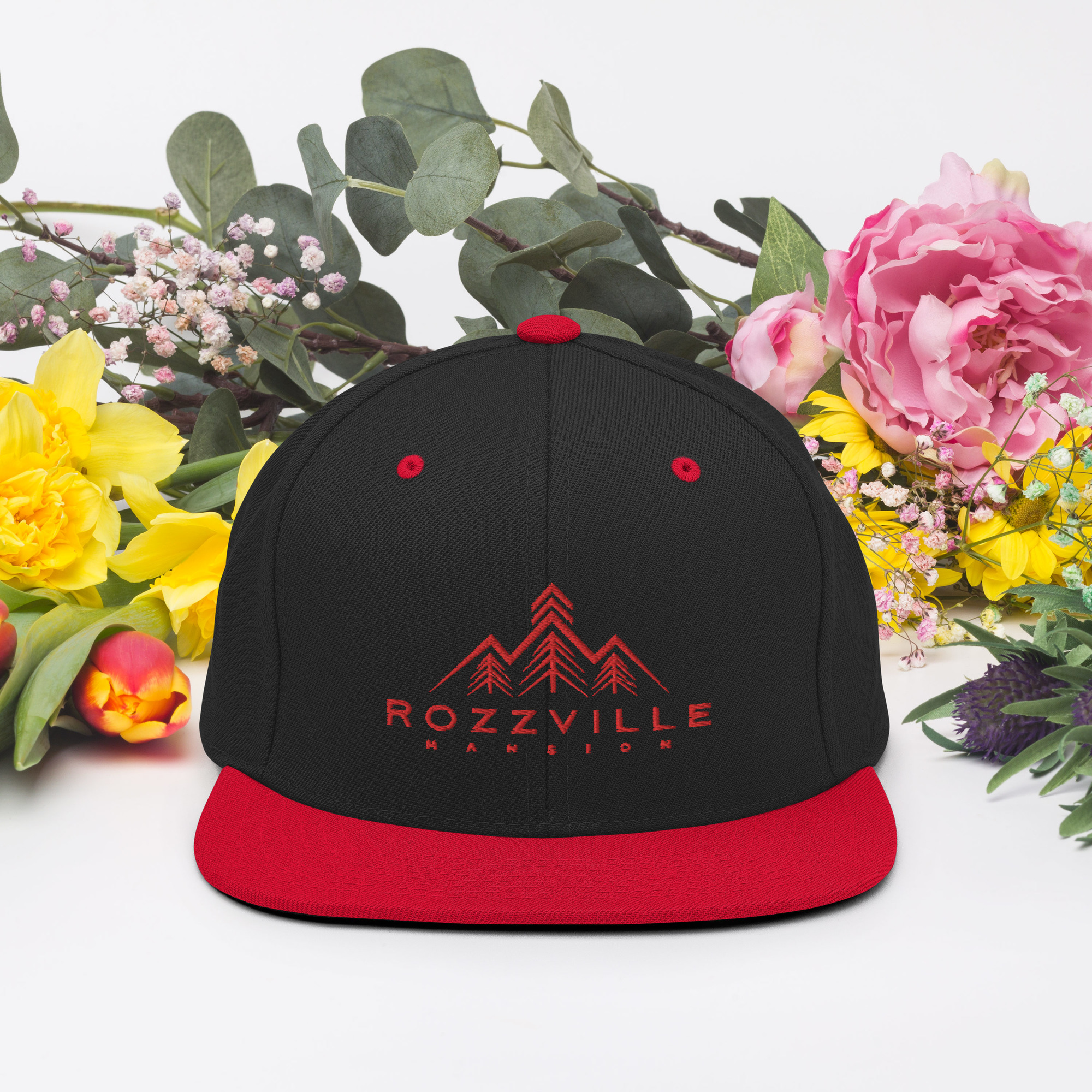 Snapback Hat red logo and red brim - Image 2